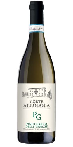 Corte Allodola Pinot Grigio Delle Venezie DOC 2023